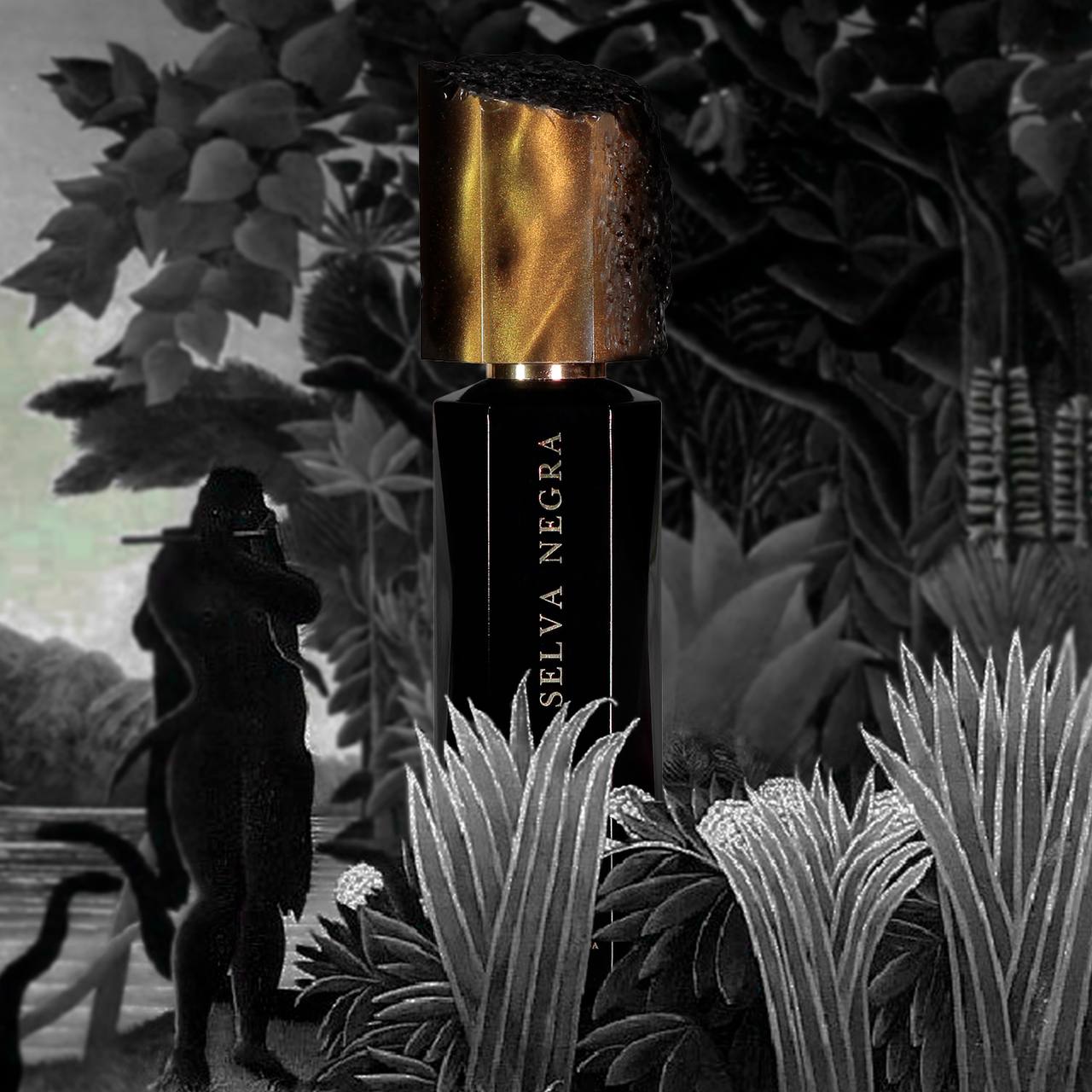 Selva Negra – Mutis Nueva Granada