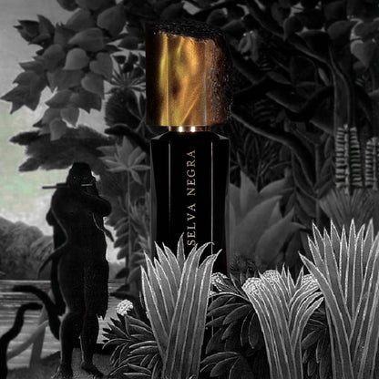 Selva Negra – Mutis Nueva Granada
